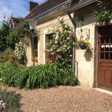 Cote Jardin Bed & Breakfast Villiers-sur-Loir Dış mekan fotoğraf